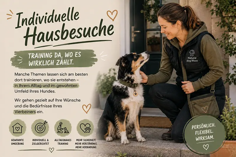 Training im häuslichen Umfeld