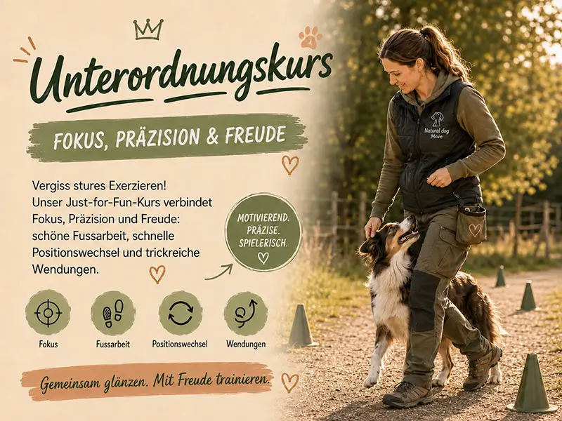 Hund bei der Fussarbeit